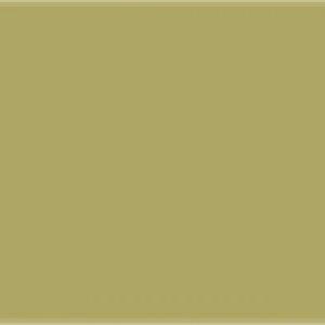 Paint and Paper Library Wattle IV Paint